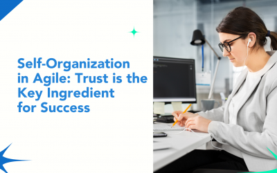 Self-Organization in Agile: Trust is the key ingredient for success